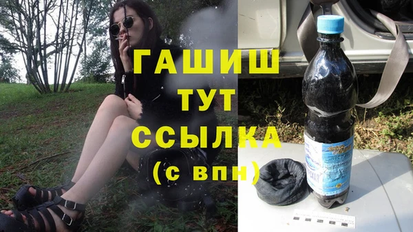 стаф Инсар