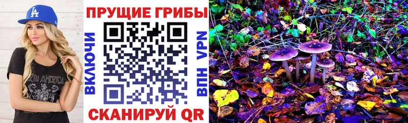 Галлюциногенные грибы Cubensis  Ивантеевка 